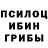 Псилоцибиновые грибы Psilocybe MrTycoon3