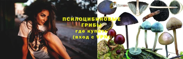 jwh Бронницы