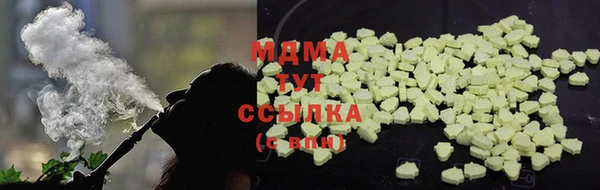 мдпв Бородино