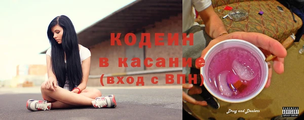 мдпв Бородино