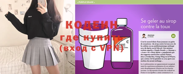 мдпв Бородино