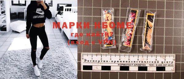 мдпв Бородино