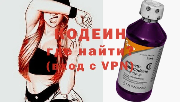 мдпв Бородино
