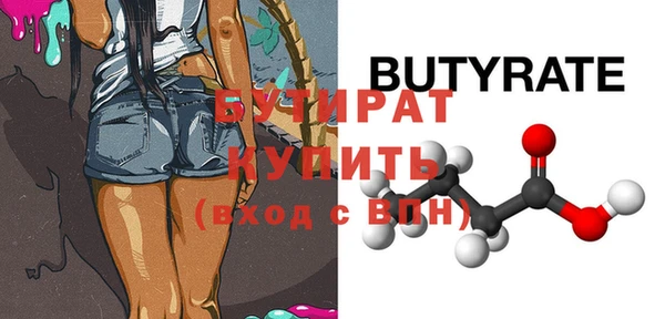 мдпв Бородино